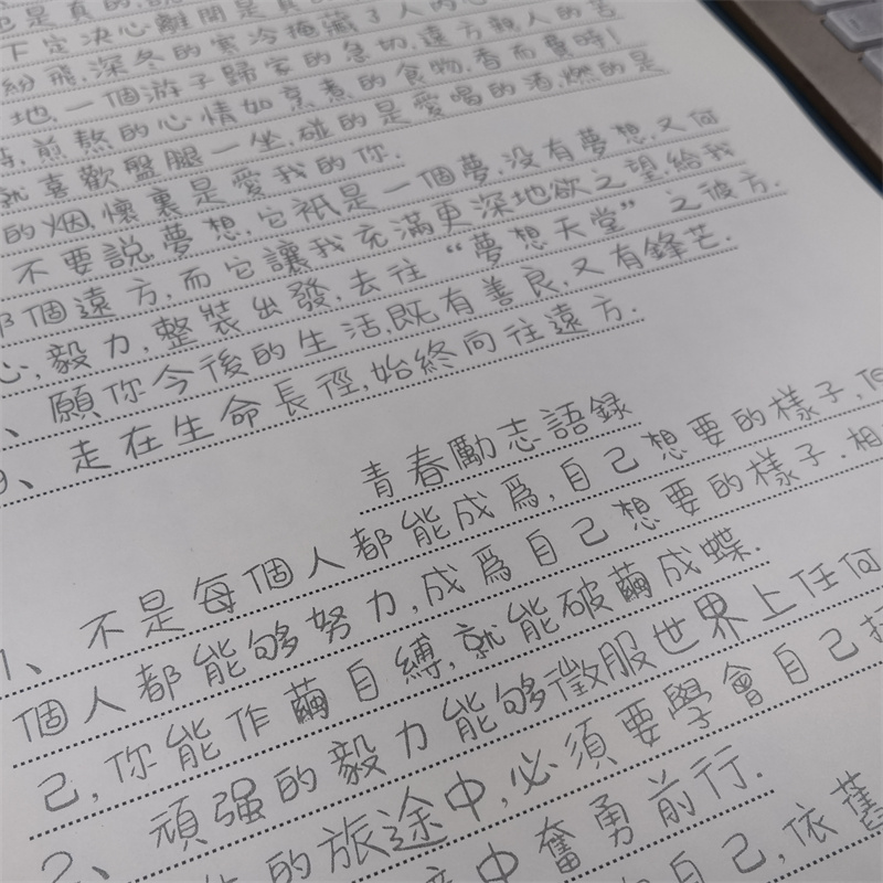 Traditionelles chinesisches Ch – Chinese Calligraphy Practice Book Bewertung und Preis