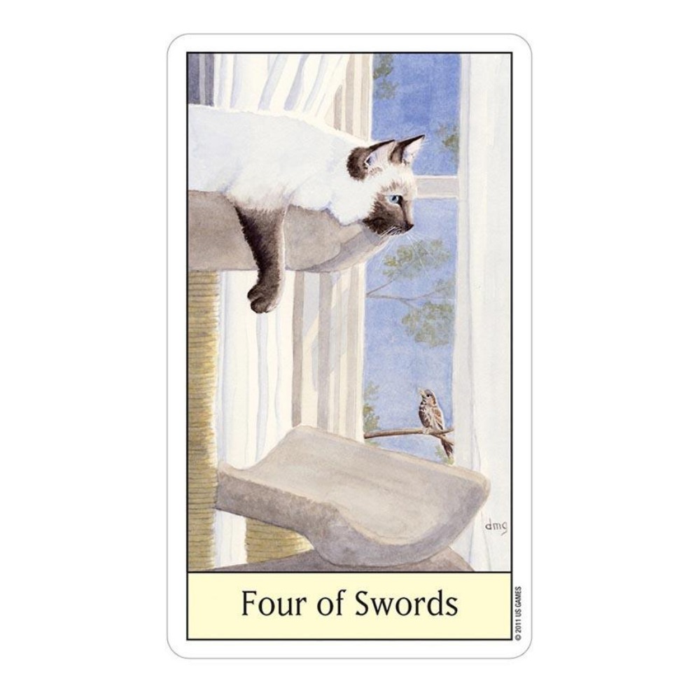 Cats Eye Tarot 12x7 cm Kartens – Tarot Deck With Guidebook Bewertung und Preis