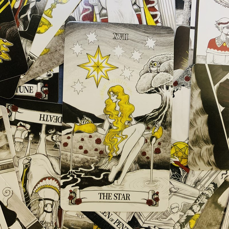 Secret Mirror Tarot-Karten, 80 – Tarot Deck With Guidebook Bewertung und Preis